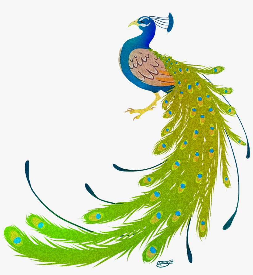 Go To Image - Peacock Images Hd Png, transparent png #344526