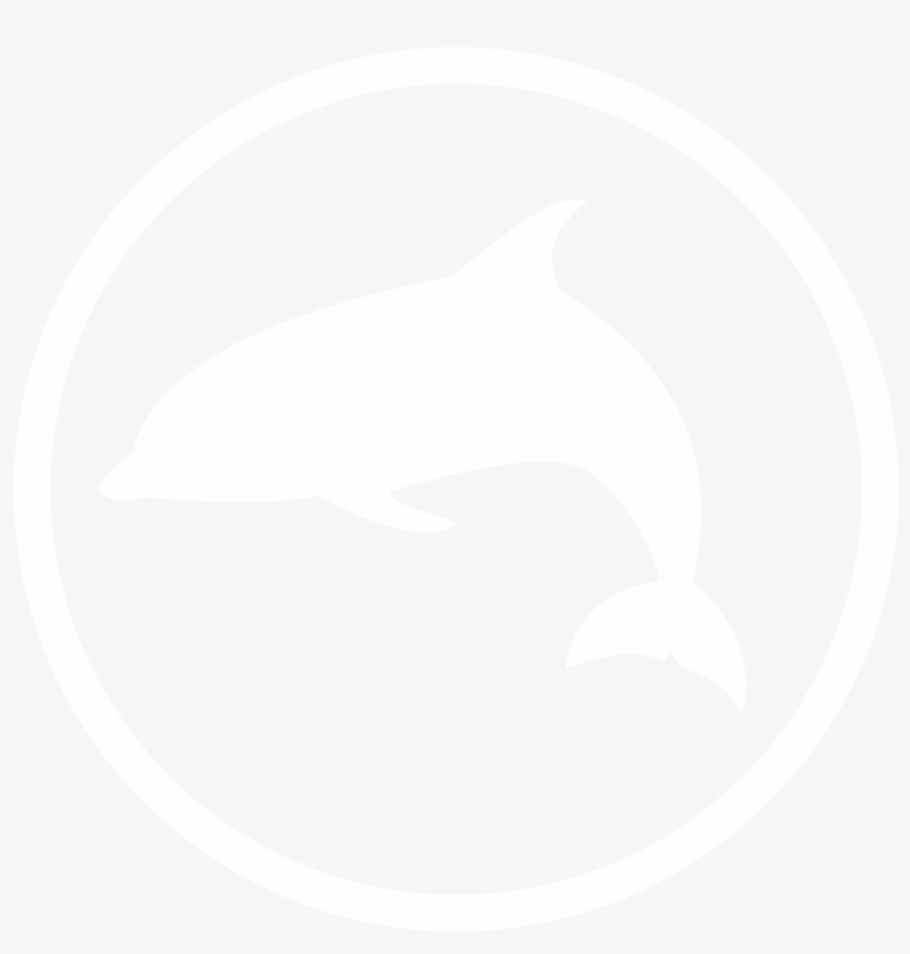 Dolphin Encounter - Wholphin, transparent png #344630