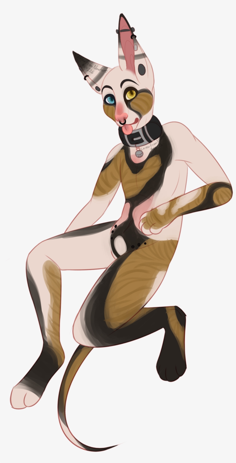 Im In Love With A Shooting Star - Illustration, transparent png #344970