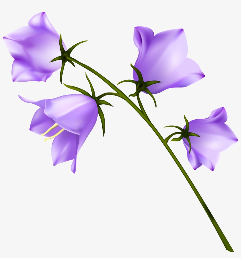 Spring Flowers Png, transparent png #345321