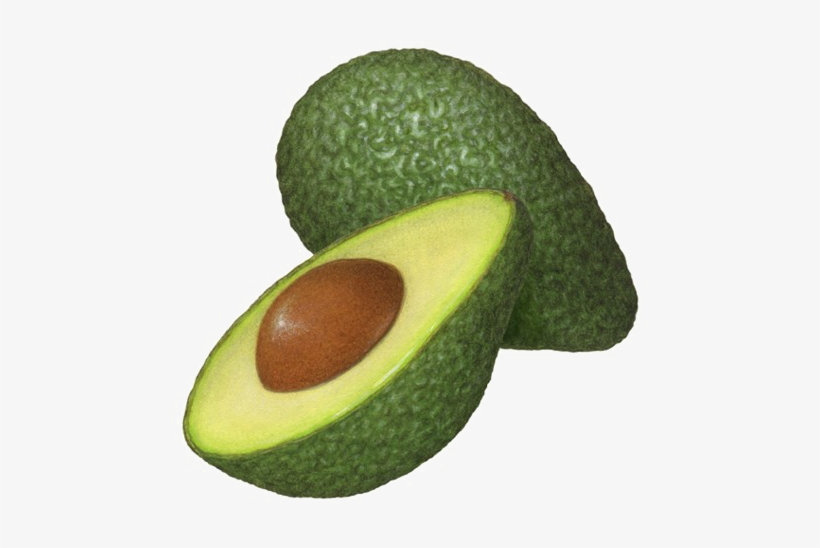 Half Avocado Png Clipart - Avocado Illustration, transparent png #345702