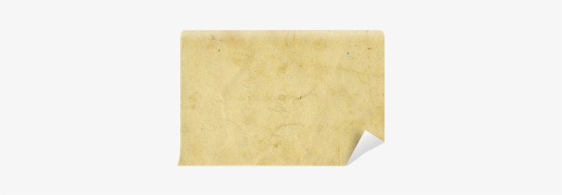 Wood, transparent png #345869