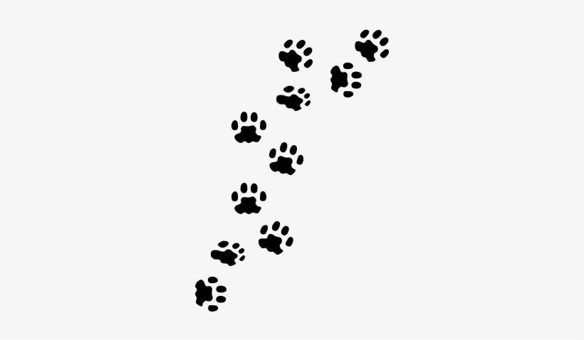 Dog Paw Print Png Dog Paw Prints Clip Art Free Vector - Patitas De Perros Png, transparent png #346430