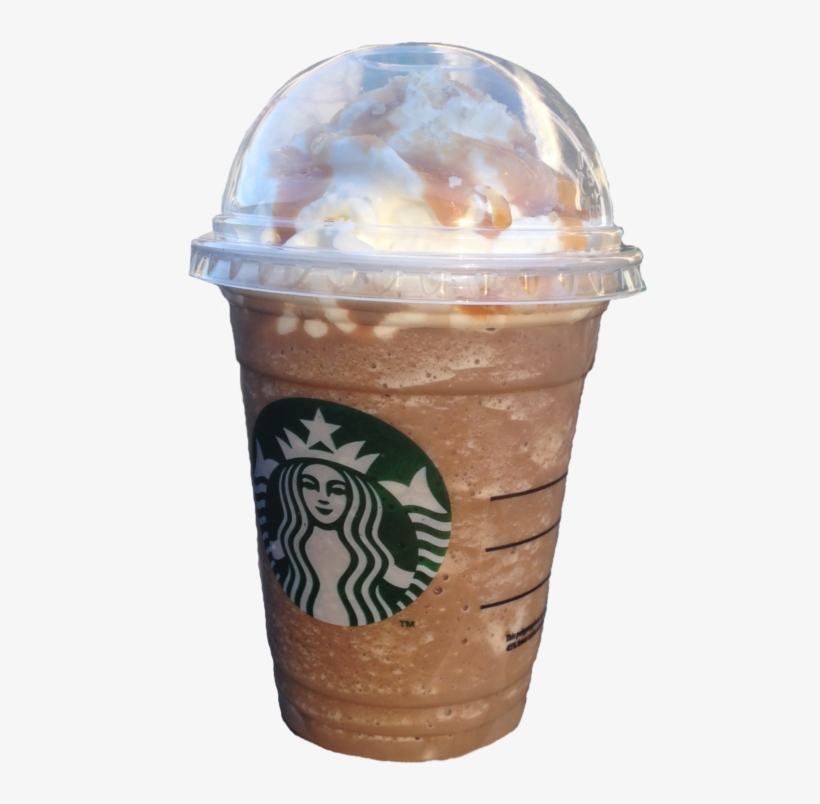 The Starbucks Cooler Is One Caffeinated Drink Students - Starbucks New Logo 2011, transparent png #347011