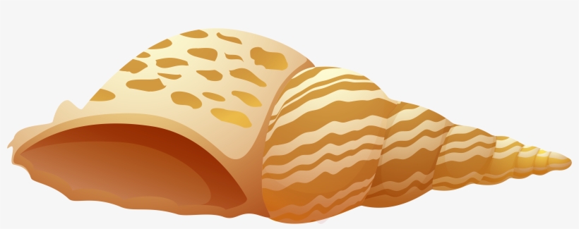 Sea Shell Png Clip Art - Shell Png, transparent png #347103