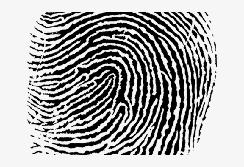 Fingerprint Png Transparent Images - Fingerprint, transparent png #347166