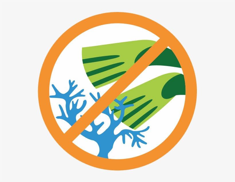 No Stepping On Coral - Don T Touch The Coral, transparent png #347410