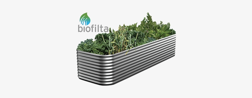 Wicking Garden Bed - Veggie Patch Png, transparent png #347541