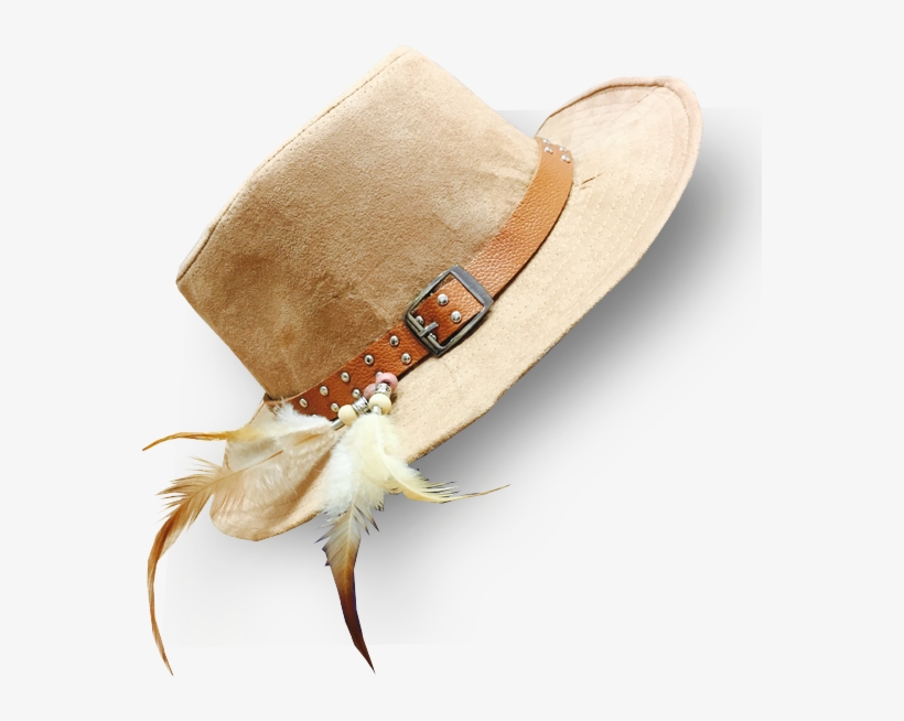 Insect, transparent png #347776