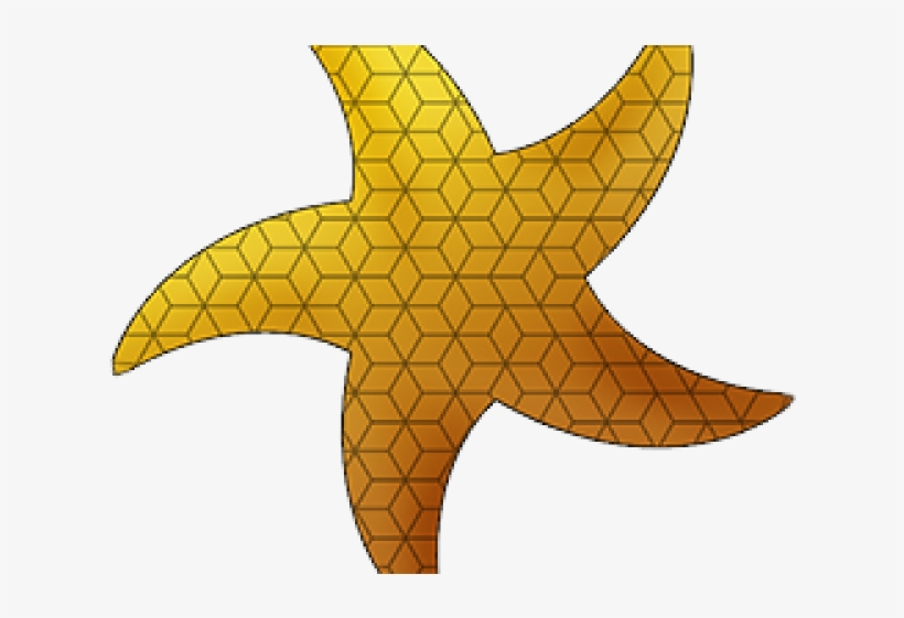 Starfish, transparent png #348625