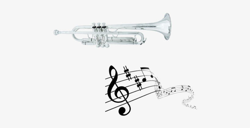 Contact David Summer - Music Notes On Staff Png, transparent png #348690