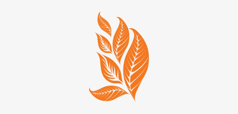 Boho Funky Trendy Retro Abstraktes Blätter Mousepads, transparent png #349257