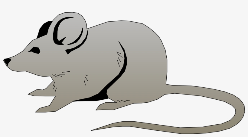 Mouse, Pet, Animals, Mammal, Rodent, Wildlife, Animal - Clip Art Of Mouse, transparent png #349429