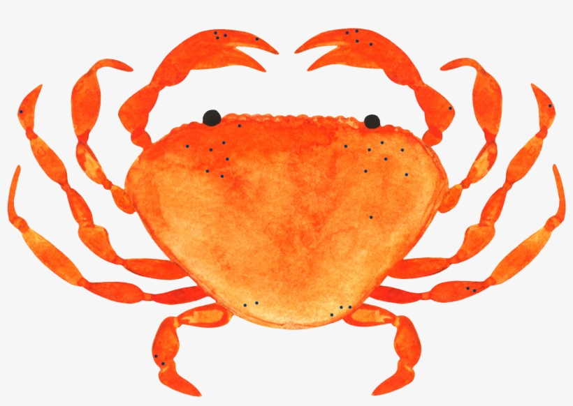 All Tickets $55 - Ahoy Indoor/outdoor Cushion, transparent png #349742