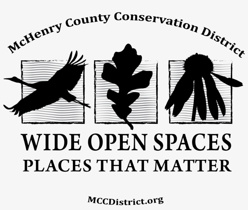 Final Sticker-png - Illustration, transparent png #349957