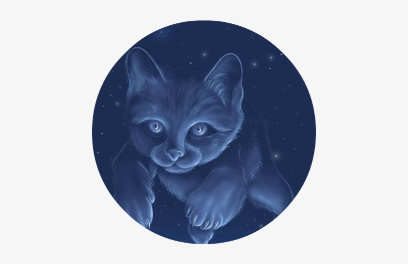 Anime Art Fantasy Cat Gif - Gato En El Espacio, transparent png #3400052