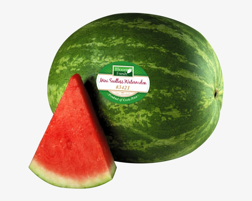 Watermelon Png Transparent Images - Watermelon Clip Art, transparent png #3400150