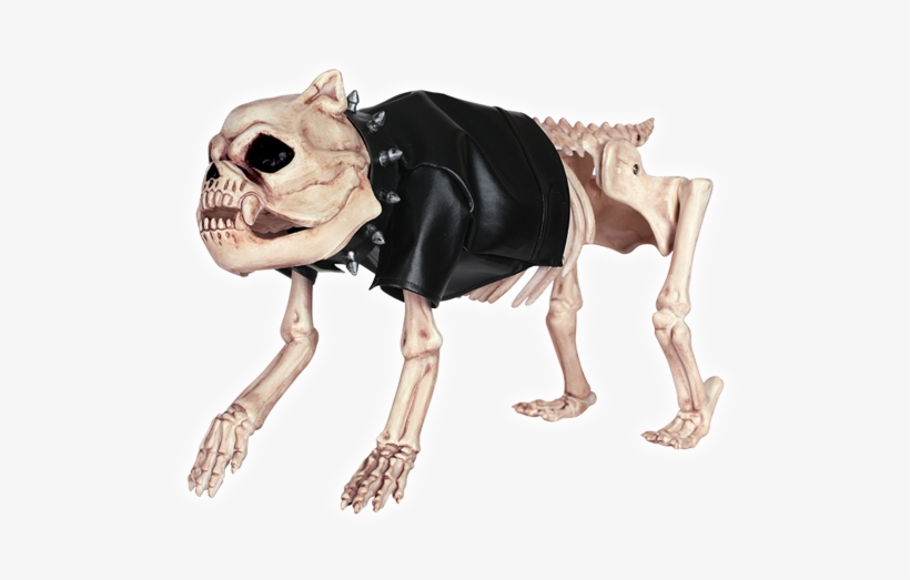 Skeleton Dog Dress Up Kit - Crazy Bonez Skeleton Dog Dress Up Kit, transparent png #3401779