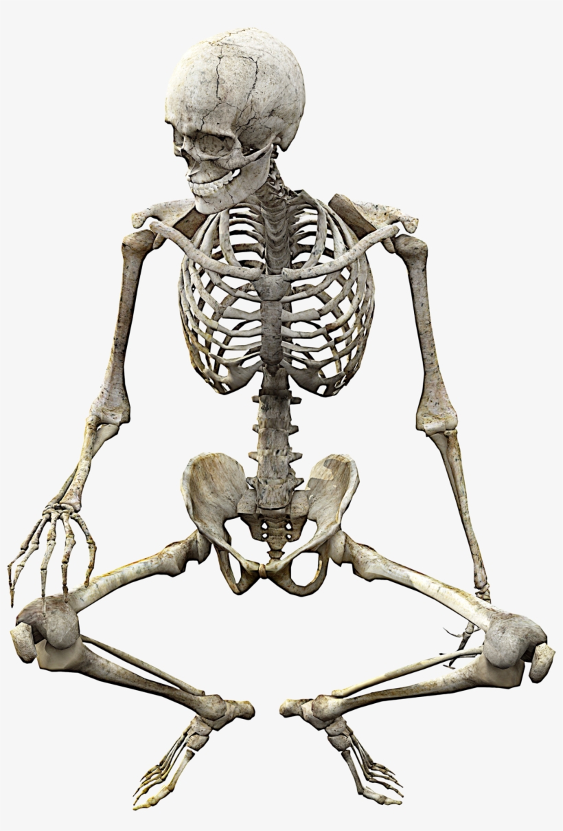 skull body drawing