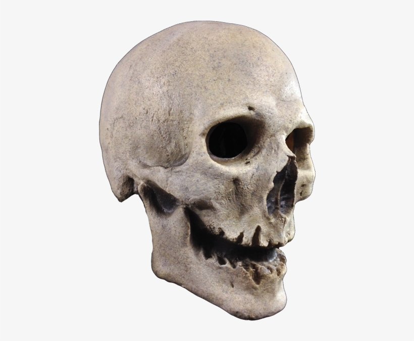 Previous Product Next Product - Trick Or Treat Studios Antique Skull Mask, transparent png #3401873
