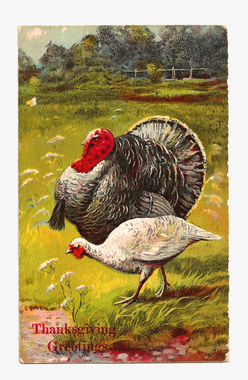 Vintage Thanksgiving Postcard - Thanksgiving, transparent png #3403445