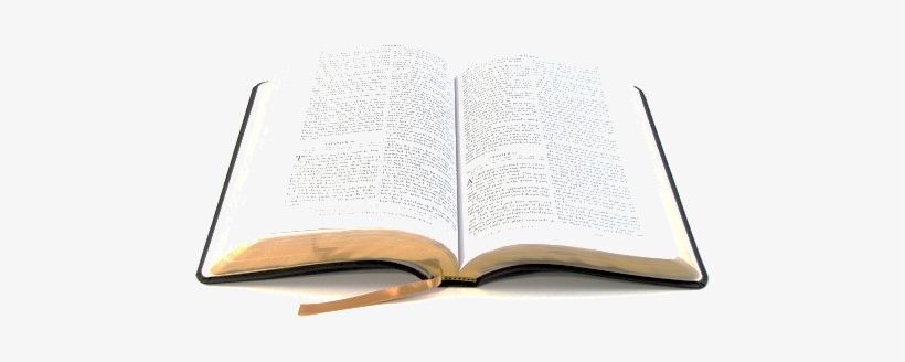 Biblehomepage3 - Baptists: The Only Thorough Religious Reformers - Trade, transparent png #3404203