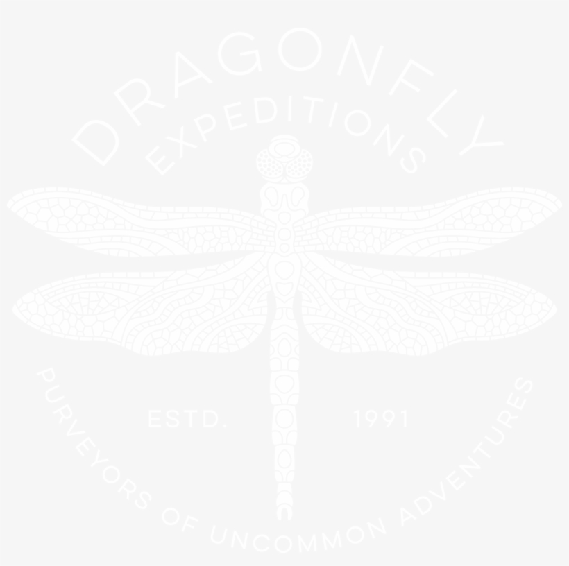 Dragonfly Expeditions, transparent png #3404290