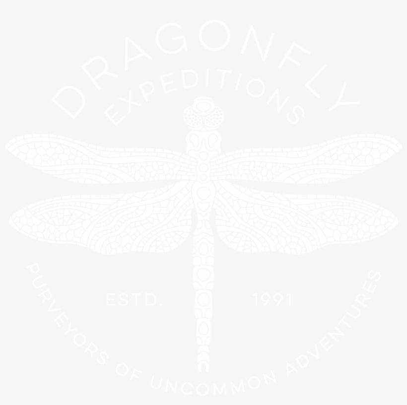 Dragonfly Expeditions, transparent png #3404290