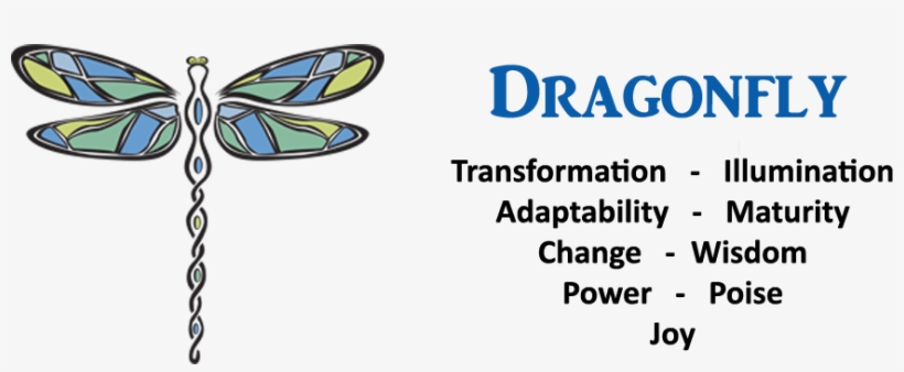 Dragonfly - Definition - A, transparent png #3404340