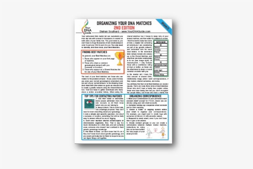 Organizing Your Dna Matches - Dna, transparent png #3405422