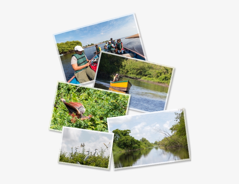 Image - Navigators Travel To Guyana: Based On An Idea By Howard, transparent png #3407452