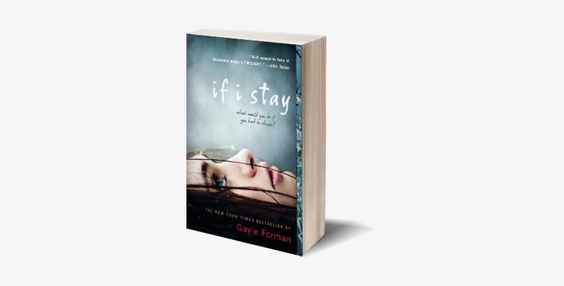 An Error Occurred - If I Stay By Gayle, transparent png #3409288