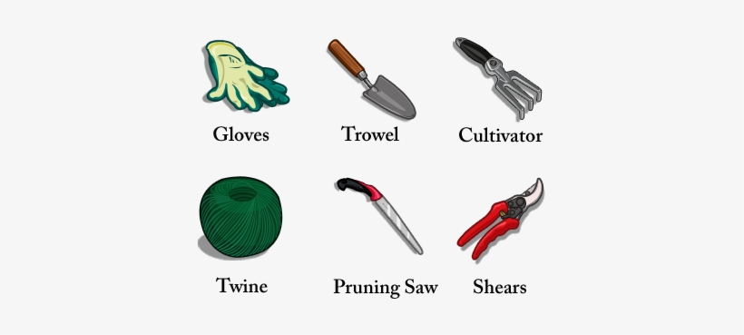 Garden Tools Names - Garden Tools With Names, transparent png #3409453