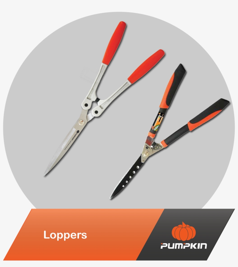 Gardening Tools - Tool, transparent png #3409592