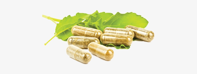 Capsule Png File - Havana Nutrition Cats Claw Bark Capsules - Herbal Plant, transparent png #3409772