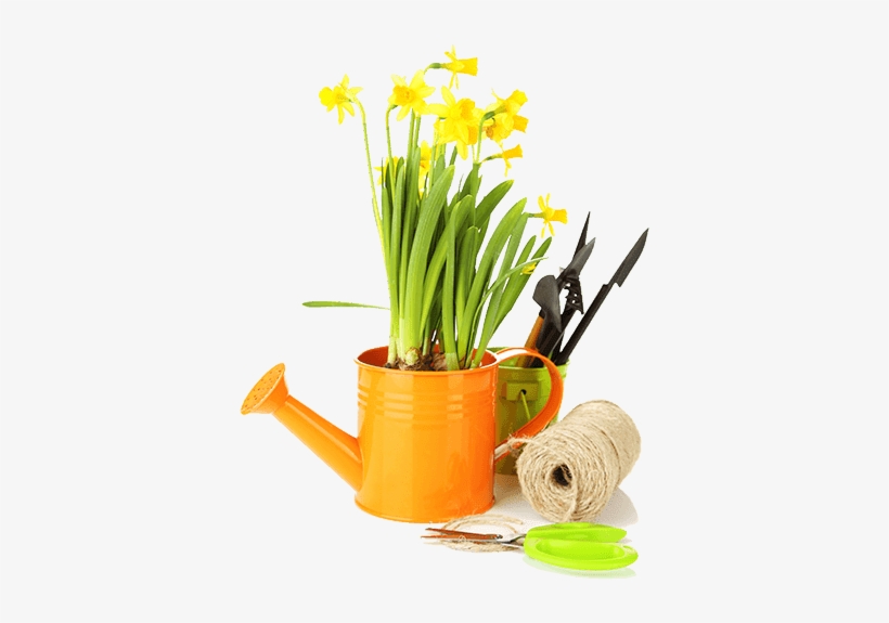 Gardening Tools - Water Can With Flower Png Transparent, transparent png #3410141