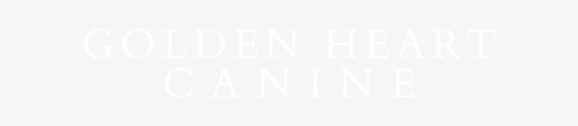 Ghc2 - Close Icon Png White, transparent png #3410484