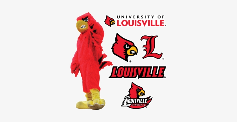 The Cardinal Bird Peel At Louisville Cardinal Photos - University Of Louisville, transparent png #3415002