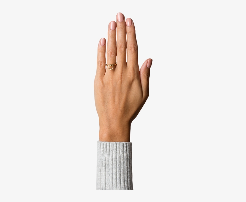 Septum Ring - Prevnext - Jane Kønig Stor Fletring, transparent png #3415276