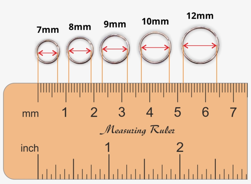 Nose Ring Sizes Chart - Nose Piercing, transparent png #3415525