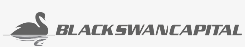 Philadelphia Flyers Line Combinations Philadelphia - Black Swan Ornament (oval), transparent png #3416131