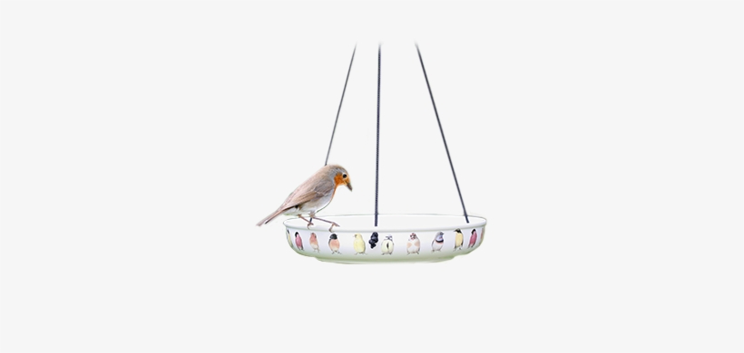 Our Water Dishes Are Great For Small Garden Birds, - Canary, transparent png #3416583
