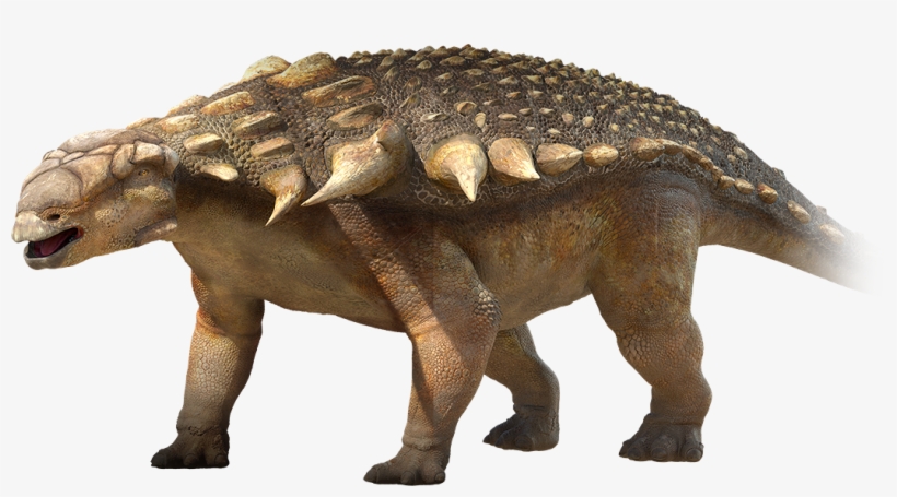 Large-anklosaur Dino - Ankylosaurus Dinosaurs, transparent png #3417347