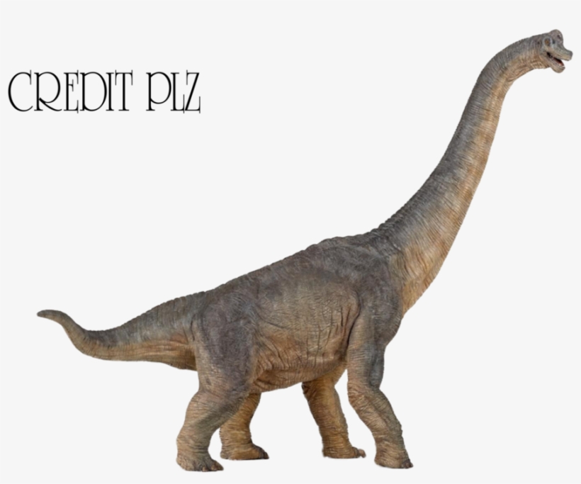 Brachiosaurus Png Transparent Image - Dinosaurs Png, transparent png #3417645