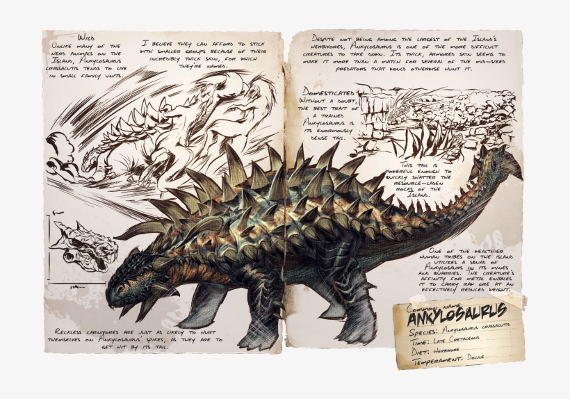 Black And White Download Ankylosaurus Drawing Ark Dino - Ark Survival Evolved Dinozaury, transparent png #3417719