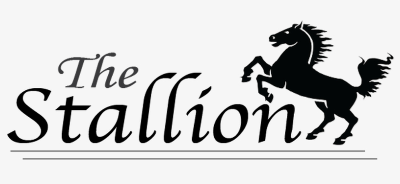 The Stallion, Abac's Newspaper - Stuttgart Logo, transparent png #3419903