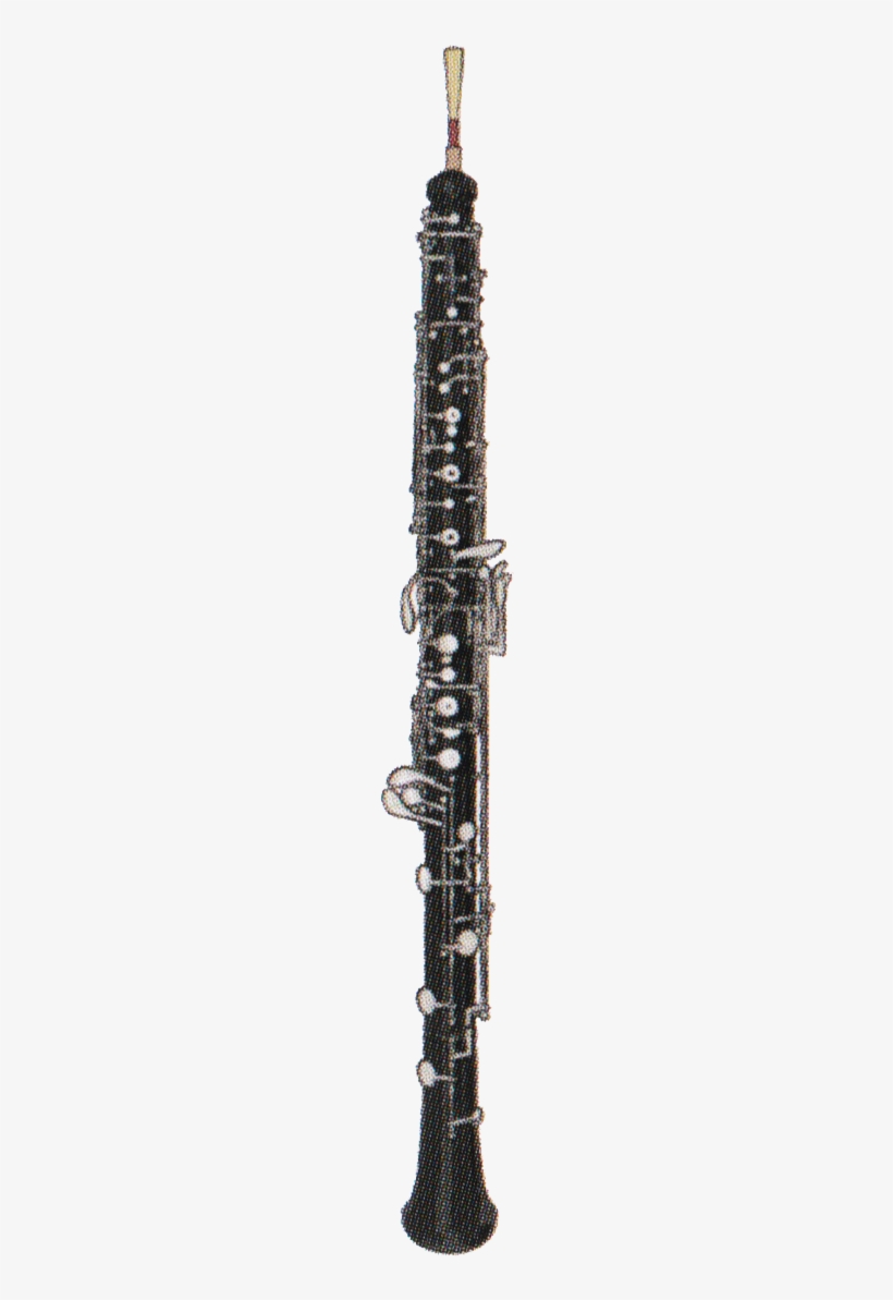 Oboe - Clarinet Family, transparent png #3422390