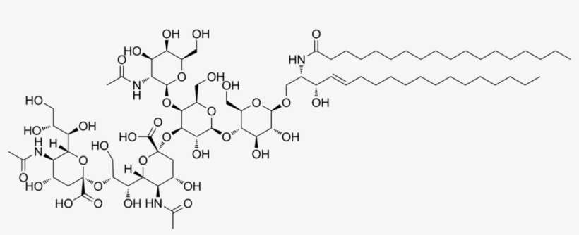 Gd2 Ganglioside - Disialoganglioside Gd2, transparent png #3422956