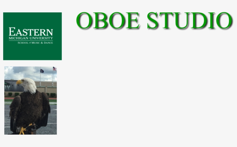 Oboe Studio Homepage Of Eastern&nbsp - Eastern Michigan University Stainless Steel Tailgate, transparent png #3423013