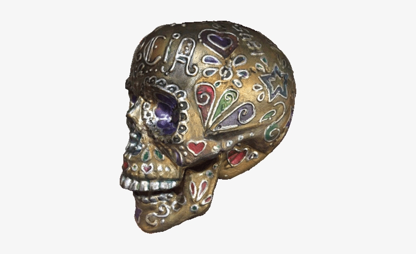 Garcia Sugar Skull - Anthropologist, transparent png #3423754